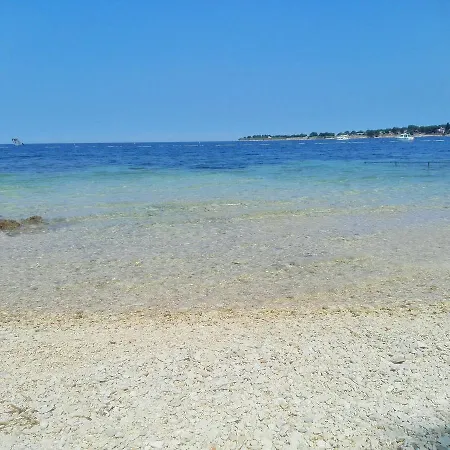 Tomic Zeleni 3* Dajla