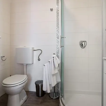 בית הארחה Tomic Zeleni 3*